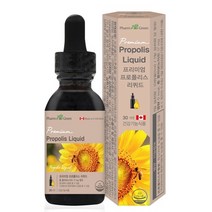 프리미엄 프로폴리스 리퀴드 30ml 플라보노이드 면역, 1개
