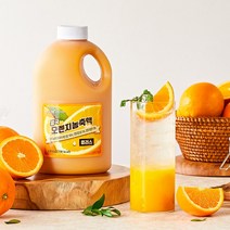 흥국F&B 오렌지농축액 플러스 1.5L, 단품