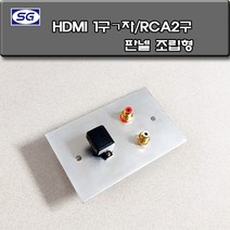 신길전자 벽부판넬 알루미늄 플레이트 70 X 115 HDMI 1구(ㄱ자)타입 RCA2구 커넥터 조립완제품, HDMI 1구(ㄱ자) RCA2구 판넬 조립형