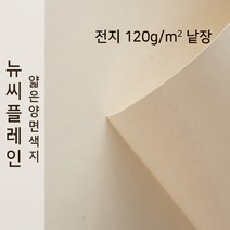 뉴씨플레인 종이문화 얇은 양면색지 120g 전지 낱장 1매 No.03 아이보리, 1장