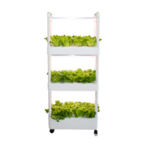 가정용 LED 상추 수경재배기 대용량, 4단, 포함, 1개