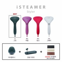 아이스티머 스팀 스타일러 + 보풀제거기 + 거치대 + 프리즘백, 민트그레이