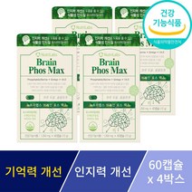 포스파티딜세린 징코 기억력 인지력 개선 은행잎추출물 뇌 두뇌 영양제 수험생 부모님 선물 사은품 증정, 4박스
