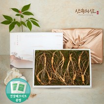 6~10년근 국내산 산양삼 산삼 산양산삼 장뇌삼 장뇌산삼, 10년근 프리미엄 10뿌리 (1상자)