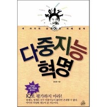 다중지능혁명 : 내 아이의 성공적인 미래 설계, 홍성훈 저, 랜덤하우스코리아
