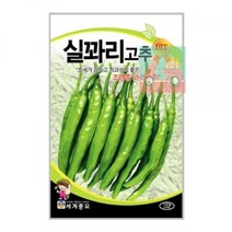 HOHO샵 02_씨앗_세계실꽈리고추 3A82, 5봉[낱개수량확인]