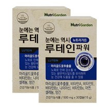 뉴트리가든 루테인 플러스 파워 눈 영양제 하루권장량 루테인20mg 30캡슐x2박스 비타민A B2 B6 아연 셀레늄 미네랄 나이아신 망간 활력 노화 노안 추천 황반색소밀도유지 침침한눈 답답한눈 수험생 건강기능식품, 60캡슐, 500mg