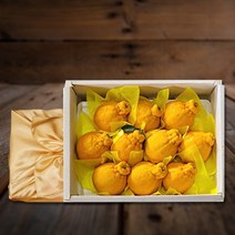 [선물세트]제주 한라봉 고당도 2KG 3KG 가정용 선물용 설과일선물세트, 프리미엄 한라봉 선물세트 1호