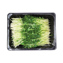 야채24닷컴 완두순 1팩 500g, 1개