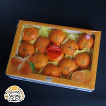 (롯데백화점)현가원 서귀포 레드향 2kg (6-9과/실중량)
