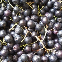 전북 고창 23년 햇 냉동과 아로니아 특품(줄기제거) 1kg /트레이포장, 1개