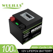 신제품 LiFePo4 배터리 팩 12V 24V 48V 100Ah 400Ah 태양 보트 용 BMS 리튬 철 인산염 내장 세금 없음, 05 12v  100Ah