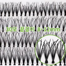 10줄 끌갈이 30모 디자인 검정모 8~11mm [듀오뷰티] : 아이위그 연예인속눈썹 연마 부분포인트 속눈썹, 10인분, 11mm