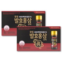 광동 발효 홍삼진액 100ml x 20개입, 2개, 단품