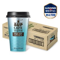 앤업카페 마일드모카 300ml 10개, 단품, 단품
