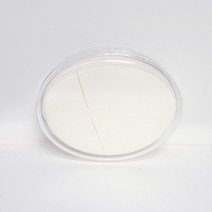 보비니 NBR 라텍스 퍼프 메이크업 퍼프 원형, 6개