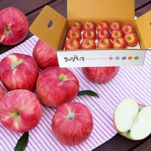 저탄소 gap인증 의성 햇사과 중과4kg(16~21입)/BFK