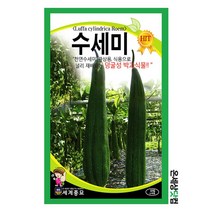 수세미 10립 / 수세미씨앗 수세미씨