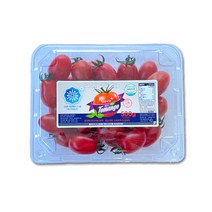 대한농산 스테비아 대추 방울 토망고 500g, 1팩
