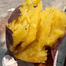 햇 토울 고구마 B긴상 한입 못난이 꿀고구마 베니하루카 3kg 5kg 10kg, 꿀or토울 B긴중.상 10kg