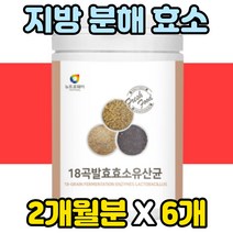 맛있는 종합 탄수화물 소화 효소제 복합 활성 먹는 효소 리파아제 맹물 물 대신 카페인없는 차 곡물 발효 분말 추천 아침 식사 대용 속편한 속이편한 ENZYME 효소식 엔자임 소화잘
