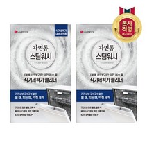 자연퐁 자연퐁 스팀워시 식기세척기 클리너 100g 2입 2개, one color, free