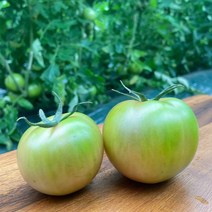 농협인증 당일수확 일반 부산 대저토마토 2.5kg, 옵션1. 일반 대저 토마토 M(2.5kg)