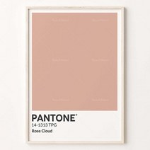 팬톤컬러칩 팬톤 피치 컬러 베이지 로즈 클라우드 블러쉬 아몬드 라이트 파스텔 프린트 세트 디지털 팬톤 6 개 세트, 70x105cm Canvas, 3
