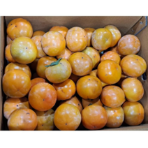 부유 단감 소과 2.5kg 5kg 10kg, 부유 단감 소과 10kg