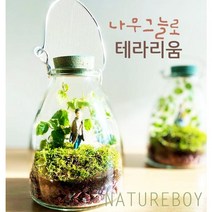 나무 그늘로 유리병 테라리움, 그이