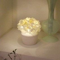 [via k studio] 화이트 화이트 릴리 LED 무드등