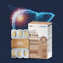 남성피로회복제 간건강엔 간회복 스트레스 실리마린 활력 밸런스 영양 불규칙식생활 회식 피로