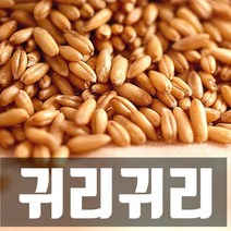 식사의품격 귀리 1kg, 1개