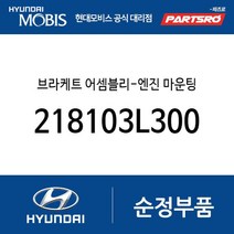 브라케트 어셈블리-엔진 마운팅 (218103L300) NF쏘나타 그랜저TG 쏘나타NF