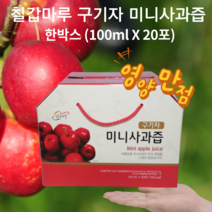 칠갑마루 구기자 미니사과즙 한박스 (100ml X 20포) 무농약 건강한 명품 사과액기스