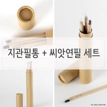 지관필통 + 싹이나는 씨앗연필 세트, 씨앗선택/해바라기