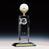 T312 _ 홀인원 싱글 알바트로스 골프 트로피 기념패 상패 싸이클버디 사이클버디 이븐파 이븐 언더파 언더 라베 크리스탈 주석 청동 크리스탈컵