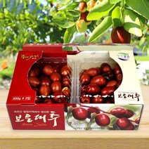 (예약)보은 햇 생대추 1kg 28mm 30mm, 1.생대추(28mm)1kg