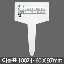 T 인쇄 식물 이름표 대형 X 100개 - 화분 식물 라벨 꽂이 칼라 컬러 분갈이 네임텍, 02_이름표_T인쇄(중)100장