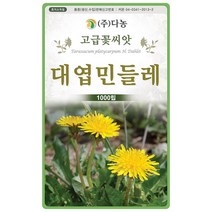대엽 민들레 1000립 - 야생화 씨앗 꽃씨 씨 꽃씨앗 야생화씨앗 고급꽃씨 고급꽃씨앗 민들레씨 민들레씨앗, 05_다농_대엽 민들레(1000립)