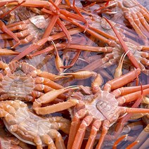 구룡포 홍게 산지직송, 일반형 3kg(수율70%내외)