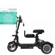 노인전동차 전동휠체어 스쿠터 노인스쿠터 노인 소형 애완 동물 성인 부모자식 남녀 미니 배터리 운송 전동 삼륜차 접이식 스케이트 보드, CC 3륜 2인승 블랙 스탠다드 버_48V