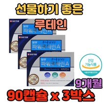 선물하기 좋은 루테인 학생 어른 운전 독서 눈 침침 눈 망막 각막 시력 눈피로 안구건조 개선 황반색소 보호 눈의 안압 눈부심 빛번짐 뻑뻑 망막 모세혈관 에 좋은