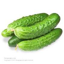 오이추출물(cucumber extract), 50ml