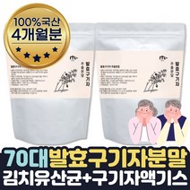 60대 구기자분말 gojiberry powder 구기자물 재료 4달 김치유산균 락토바실러스 플란타럼
