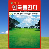 한국 들잔디 씨앗 4만립 초원 정원 산소 묘지 잔디 씨 종자, 1개