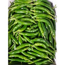 매콤 달콤 청양고추 500g