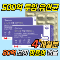 유산균 프로 바이오틱스 캡슐 영양제 온가족 캐나다 장용성 락토프리 유상균 500억 캡슐형 장까지가는 남성 60대 시니어 부모님 수험생 50대 고등학생 어른 제품 우유없는