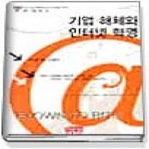 [개똥이네][중고-상] 기업 해체와 인터넷 혁명
