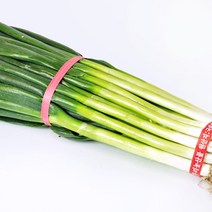 한아름드린 [익산원예농협] 신선 대파 2kg, 1